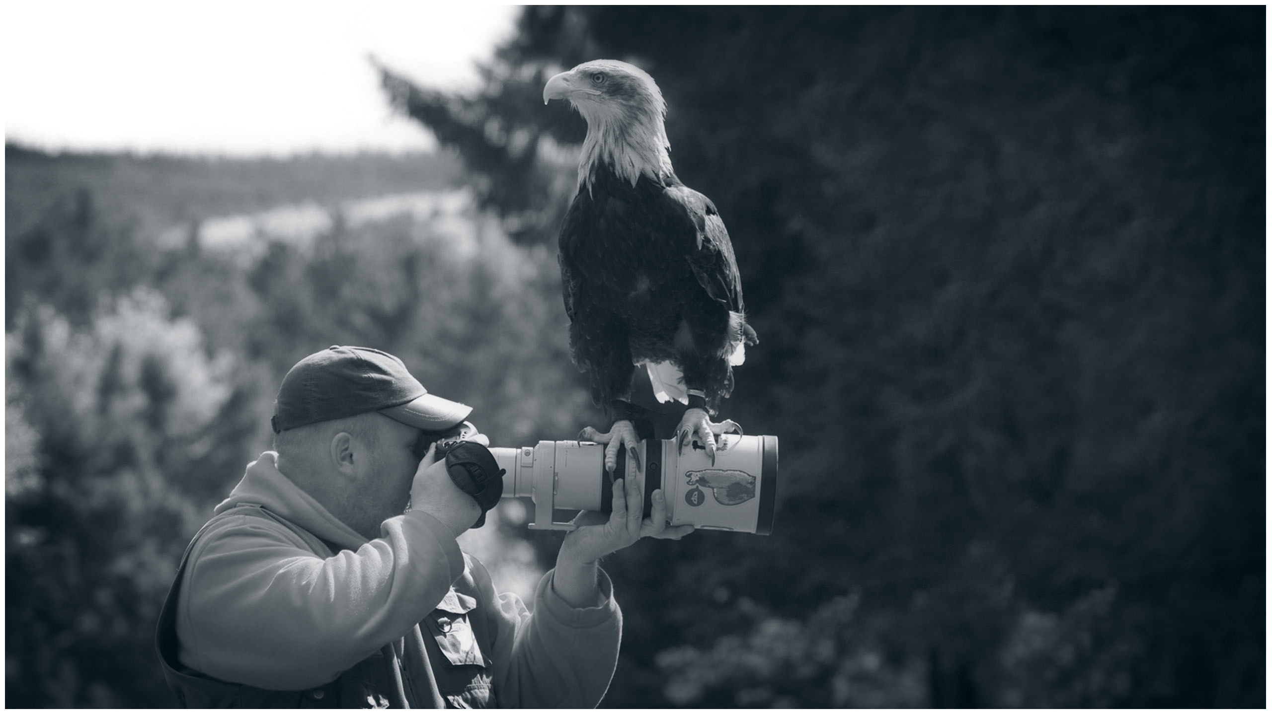 Myself, during a shooting @ Greifvogelstation und Wildfreigehege Hellenthal